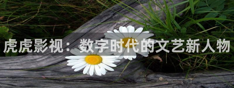 好好看影院：虎虎影视：数字时代的文艺新人物