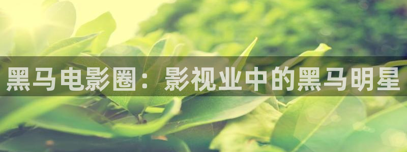 好好看影院：黑马电影圈：影视业中的黑马明星