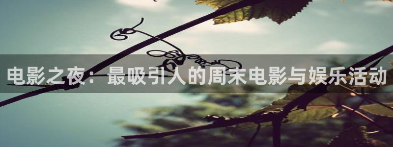 《四库影视》电视剧在线观看-好看影院：电影之夜：最吸引人的周末电影与娱乐活动